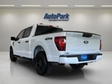 New 2025 Ford F150 STX w/ STX Black Appearance Package image 5