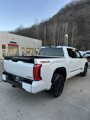 New 2025 Toyota Tundra Platinum image 2