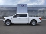 New 2025 Ford F150 XLT w/ Equipment Group 301A Standard image 3