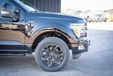 New 2025 Ford F150 Platinum image 5