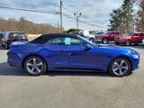 Used 2015 Ford Mustang Convertible w/ Equipment Group 051A image 4