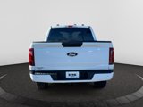 New 2025 Ford F150 STX image 5
