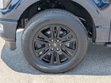 New 2025 Ford F150 Platinum w/ Equipment Group 702A High image 3