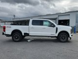 New 2025 Ford F250 Platinum image 3
