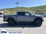 New 2025 Ford F150 Raptor image 2