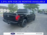 New 2025 Ford F150 STX w/ STX Black Appearance Package image 5