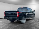 New 2025 Ford F250 Platinum image 5