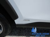 Used 2024 Toyota RAV4 XLE image 5