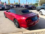 Used 2017 Ford Mustang Premium w/ Equipment Group 201A image 4