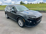 Used 2024 Honda CR-V EX image 3