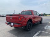 New 2025 Ford F150 STX w/ STX Black Appearance Package image 5