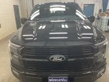 New 2025 Ford F150 Platinum image 2