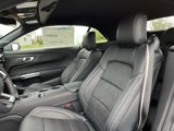 New 2025 Ford Mustang GT Premium image 4