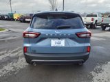New 2025 Ford Escape ST-Line w/ Tech Pack #1 image 4