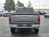 New 2025 Ford F150 XLT w/ Equipment Group 302A MID image 6