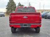 New 2025 Ford F150 XLT w/ Equipment Group 302A MID image 6