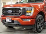 Certified 2023 Ford F150 XLT w/ Equipment Group 302A High image 3