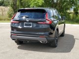 New 2026 Honda CR-V Sport-L image 3
