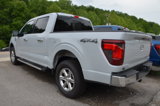 New 2025 Ford F150 XLT w/ Equipment Group 302A MID image 6