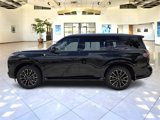 New 2025 INFINITI QX80 Autograph image 4