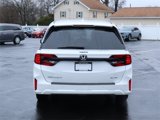 New 2025 Honda Odyssey Elite image 6