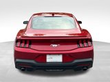 Used 2024 Ford Mustang Premium image 4