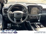 New 2025 Ford F150 STX w/ STX Black Appearance Package image 6