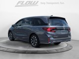 New 2025 Honda Odyssey Elite image 4