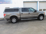 Used 2013 Ford F150 XLT w/ Luxury Equipment Group image 5