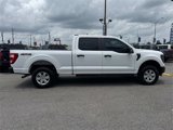 Used 2023 Ford F150 XL image 4