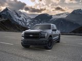 New 2025 Ford F150 Lariat w/ Equipment Group 502A High image 3