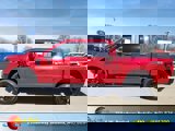 New 2025 Ford F150 STX w/ Equipment Group 201A FX4 image 4