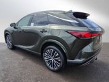 New 2025 Lexus RX 350 Premium Plus image 3