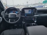 New 2025 Ford F150 STX w/ Equipment Group 200A image 3