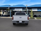 New 2025 Ford F150 XLT w/ Equipment Group 302A MID image 5