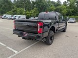 New 2025 Ford F250 Platinum image 4