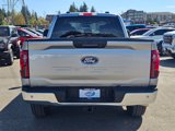 Used 2024 Ford F150 XLT image 6