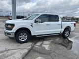 New 2025 Ford F150 XLT w/ Equipment Group 302A MID image 2