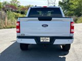 Used 2022 Ford F150 XL w/ STX Appearance Package image 4