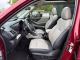 Used 2024 Subaru Forester Limited image 2