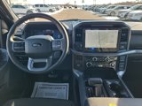 New 2025 Ford F150 XLT w/ Equipment Group 302A MID image 3