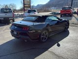 Used 2024 Ford Mustang Premium image 5