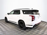 New 2025 Hyundai Palisade Calligraphy image 5
