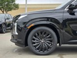 New 2025 Hyundai Palisade Calligraphy image 6