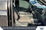 Certified 2023 Ford F150 XLT w/ Equipment Group 302A High image 6