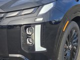 New 2025 Hyundai Palisade Calligraphy image 4