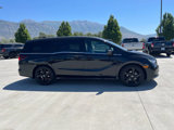Used 2024 Honda Odyssey Sport image 2