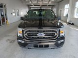 Certified 2023 Ford F150 XLT w/ Equipment Group 302A High image 3