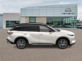New 2025 INFINITI QX60 Autograph w/ Cargo Package image 4