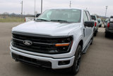 New 2025 Ford F150 XLT w/ Equipment Group 302A MID image 4